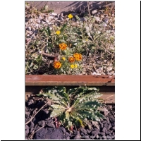 200x-0x-xx Lokalbahn Stammersdorf-Zistersdorf 15.jpg